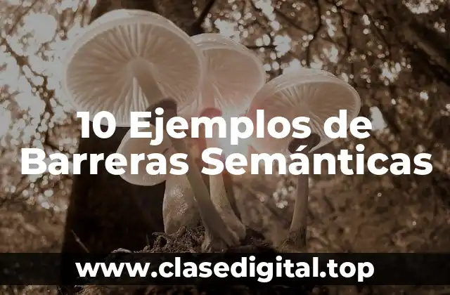 10 Ejemplos de Barreras Semánticas