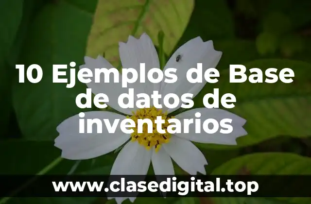 10 Ejemplos de Base de datos de inventarios