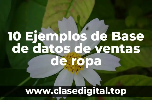 10 Ejemplos de Base de datos de ventas de ropa