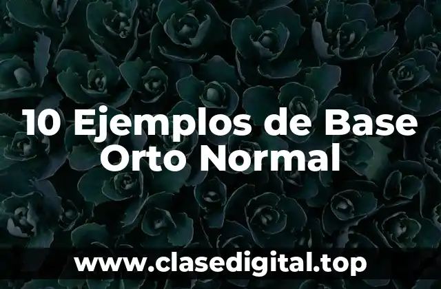 10 Ejemplos de Base Orto Normal