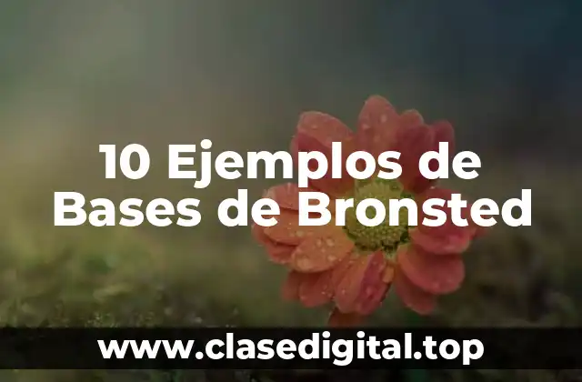 10 Ejemplos de Bases de Bronsted