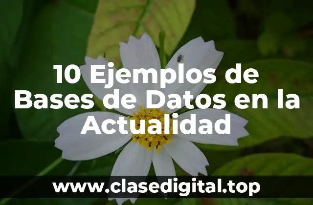 10 Ejemplos de Bases de Datos en la Actualidad