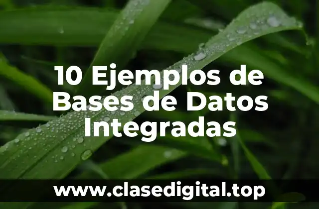 Ejemplos de Bases de Datos Integradas