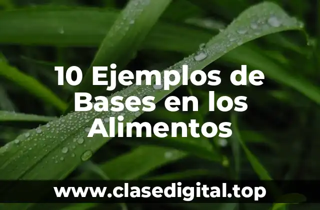 10 Ejemplos de Bases en los Alimentos