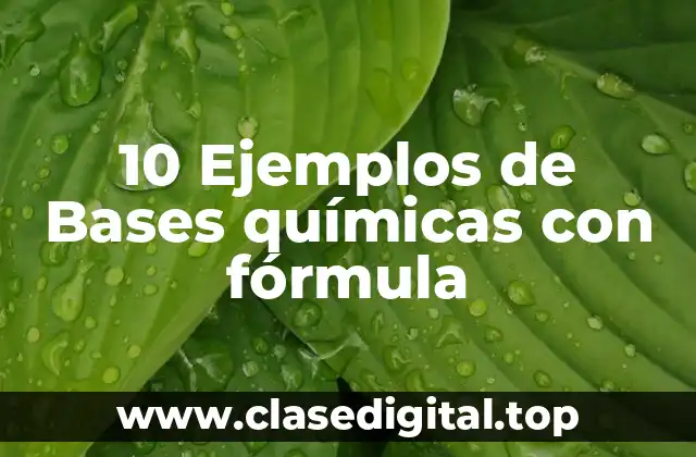10 Ejemplos de Bases químicas con fórmula