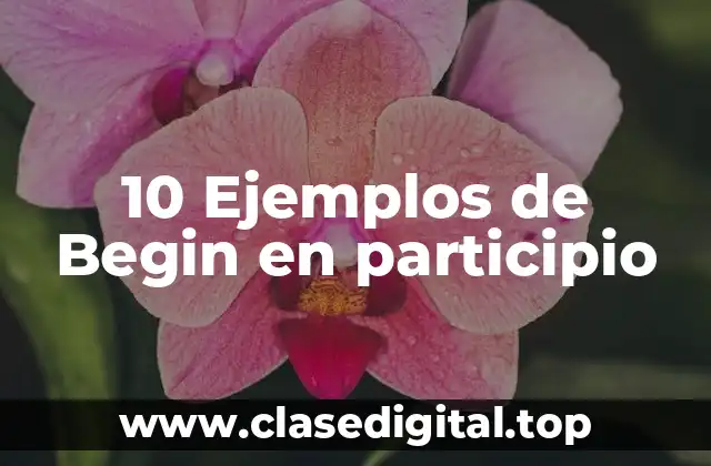 10 Ejemplos de Begin en participio