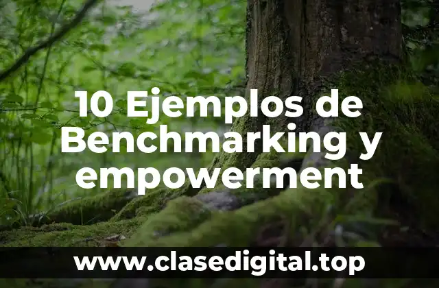 10 Ejemplos de Benchmarking y empowerment