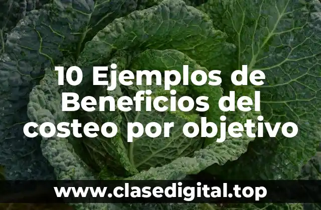 10 Ejemplos de Beneficios del costeo por objetivo