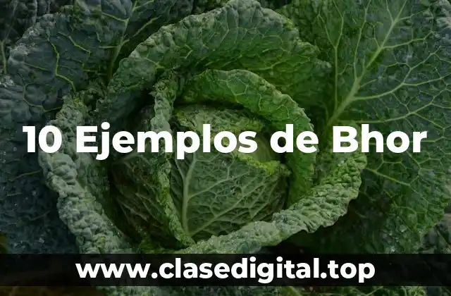 10 Ejemplos de Bhor