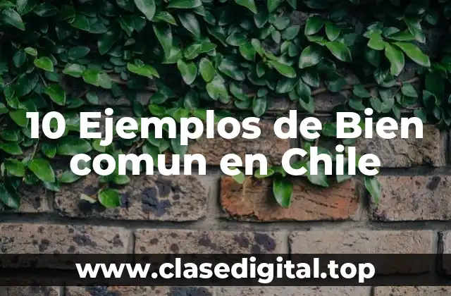 10 Ejemplos de Bien comun en Chile