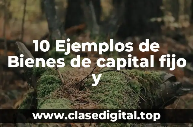 10 Ejemplos de Bienes de capital fijo y