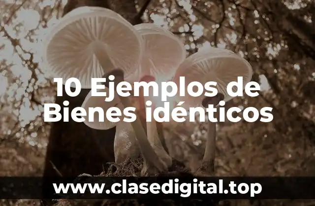10 Ejemplos de Bienes idénticos