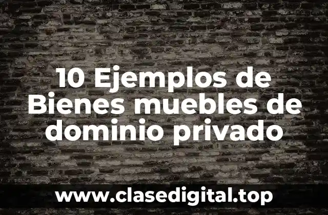 10 Ejemplos de Bienes muebles de dominio privado