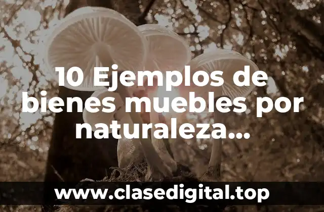 10 Ejemplos de bienes muebles por naturaleza inanimada