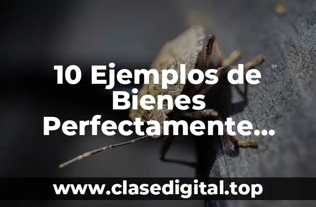 10 Ejemplos de Bienes Perfectamente Elasticos