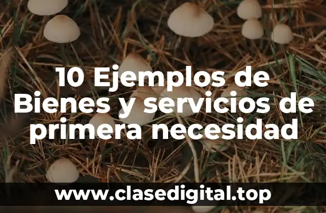 10 Ejemplos de Bienes y servicios de primera necesidad