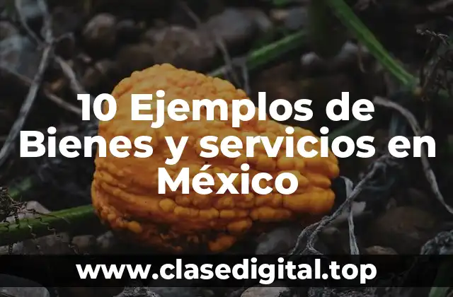 10 Ejemplos de Bienes y servicios en México