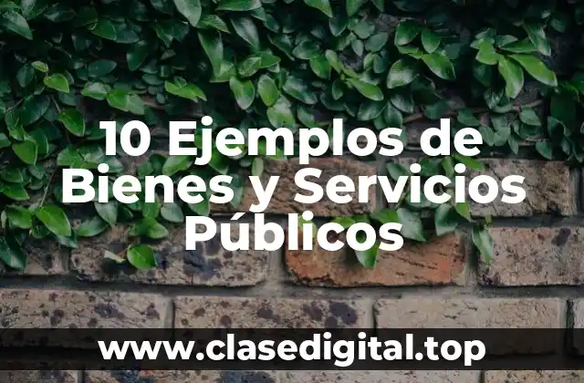 10 Ejemplos de Bienes y Servicios Públicos