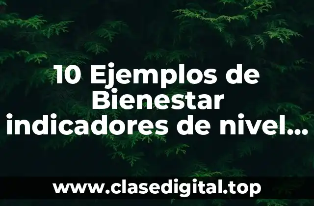 10 Ejemplos de Bienestar indicadores de nivel comunitario seguridad social