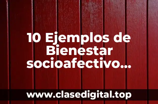 10 Ejemplos de Bienestar socioafectivo ejemplo