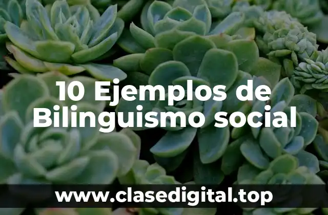 10 Ejemplos de Bilinguismo social