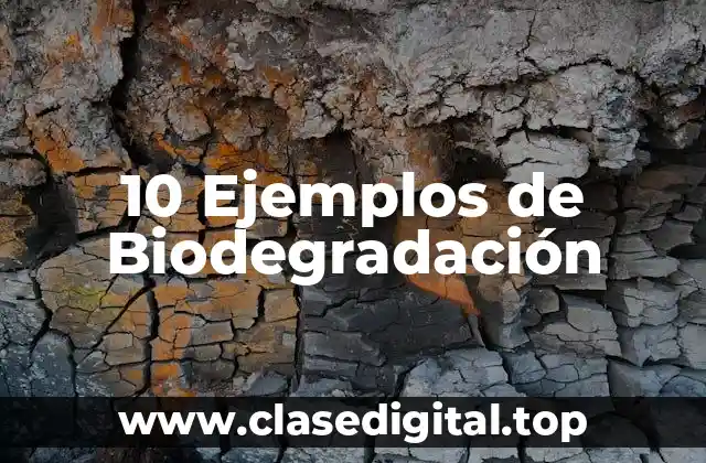 10 Ejemplos de Biodegradación