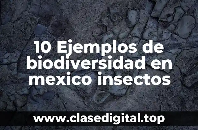 10 Ejemplos de biodiversidad en mexico insectos