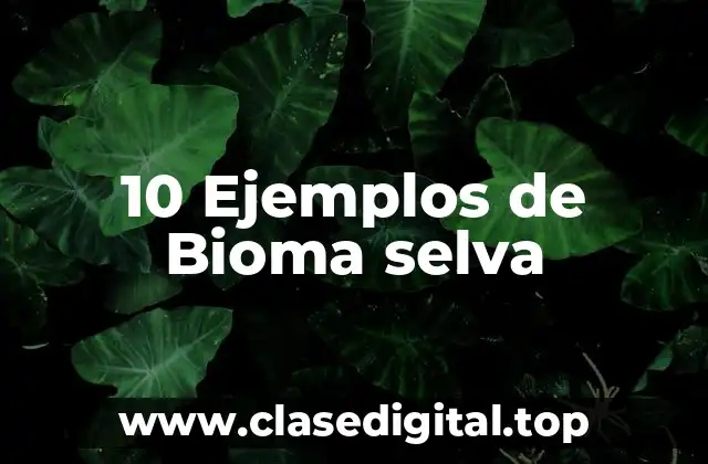10 Ejemplos de Bioma selva