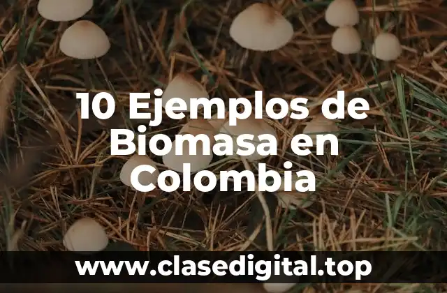 10 Ejemplos de Biomasa en Colombia
