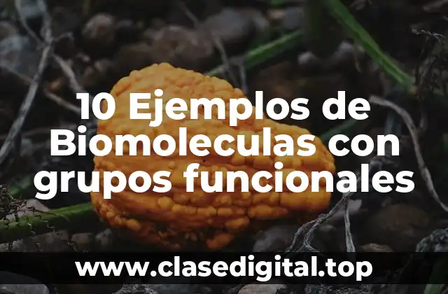 10 Ejemplos de Biomoleculas con grupos funcionales