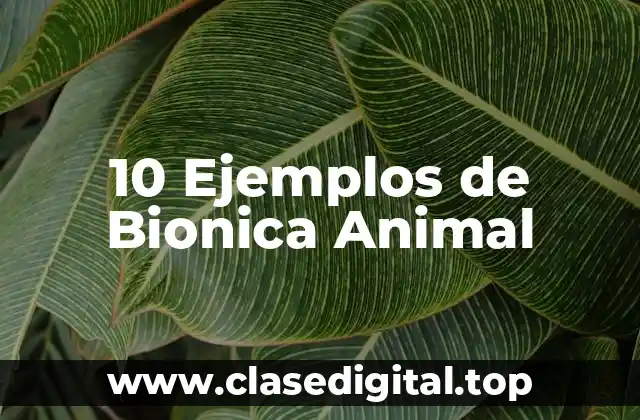 10 Ejemplos de Bionica Animal