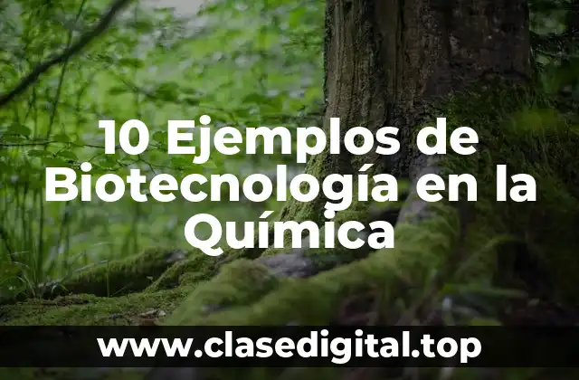 Ejemplos de Biotecnología en la Química