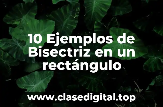 10 Ejemplos de Bisectriz en un rectángulo