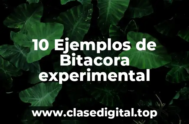 10 Ejemplos de Bitacora experimental