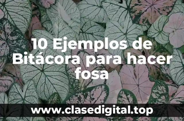 10 Ejemplos de Bitácora para hacer fosa