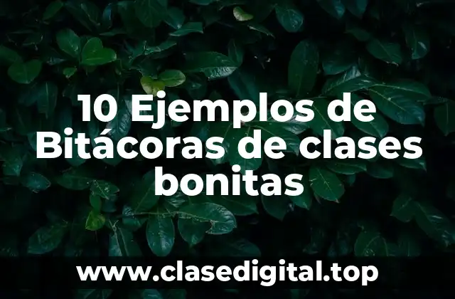 10 Ejemplos de Bitácoras de clases bonitas
