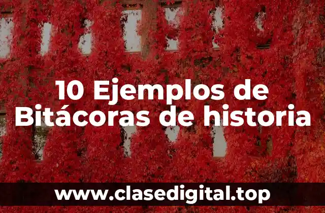 10 Ejemplos de Bitácoras de historia