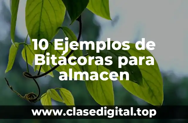10 Ejemplos de Bitácoras para almacen