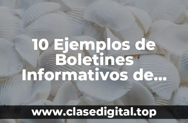 10 Ejemplos de Boletines Informativos de Navidad