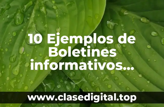 Ejemplos de boletines informativos escolares