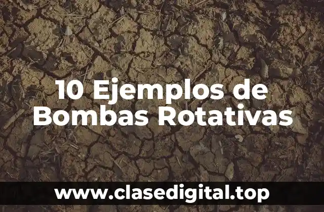 10 Ejemplos de Bombas Rotativas