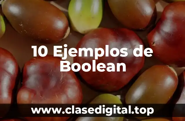 10 Ejemplos de Boolean