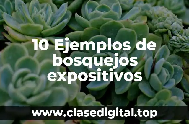 10 Ejemplos de bosquejos expositivos