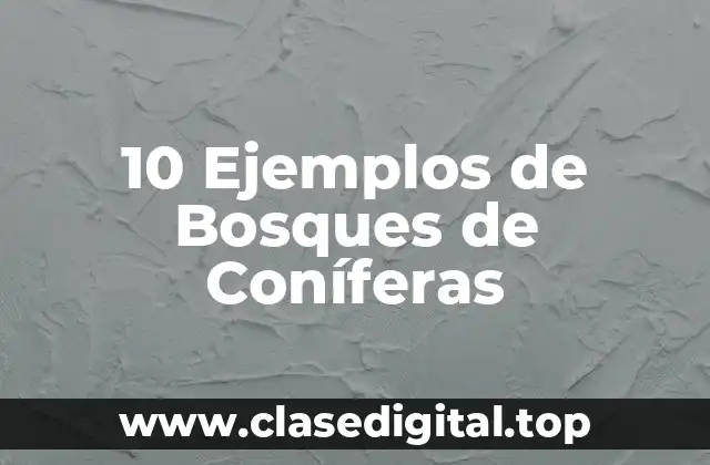 10 Ejemplos de Bosques de Coníferas
