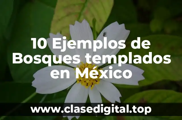 10 Ejemplos de Bosques templados en México