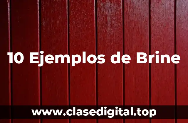 10 Ejemplos de Brine