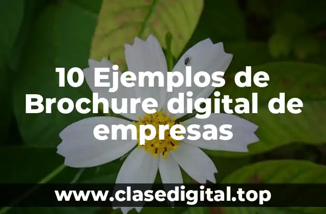 10 Ejemplos de Brochure digital de empresas