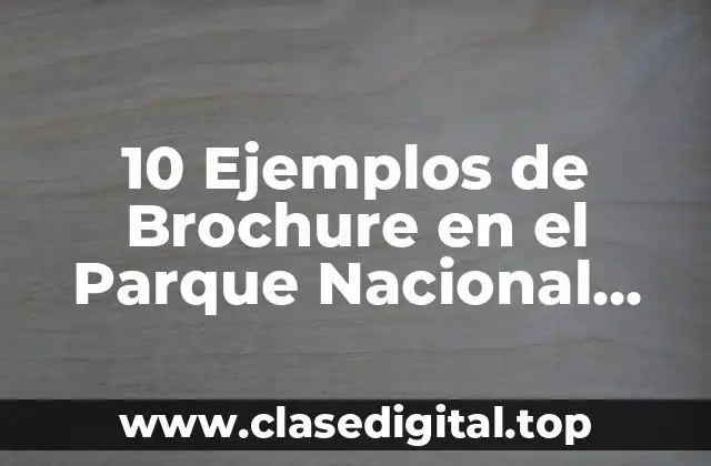 10 Ejemplos de Brochure en el Parque Nacional Palo Verde