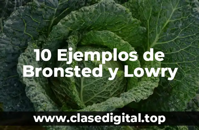 Ejemplos de Ácidos y Bases según Bronsted y Lowry