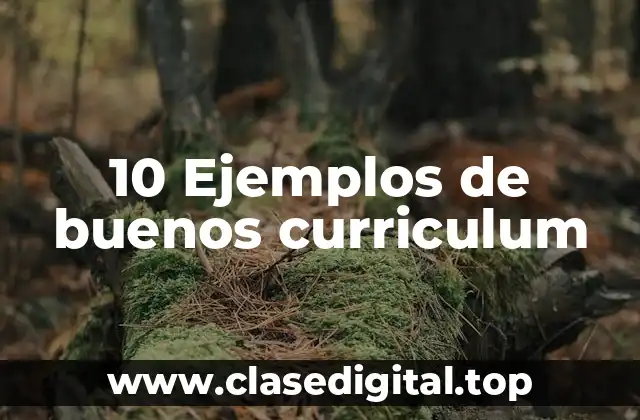 10 Ejemplos de buenos curriculum